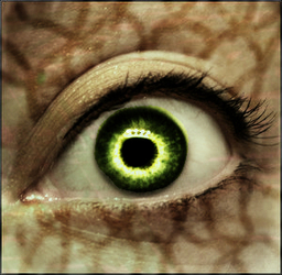 Eye of Dimov